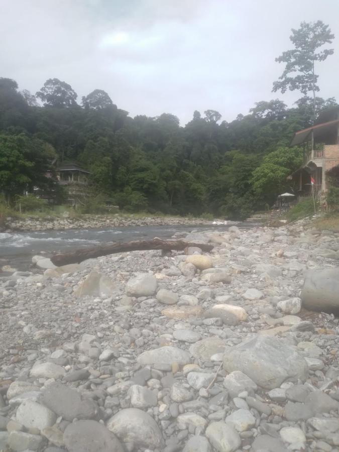 فندق Umiyuki Jungle Tour Only Treking With As بوكيت لاوانج المظهر الخارجي الصورة