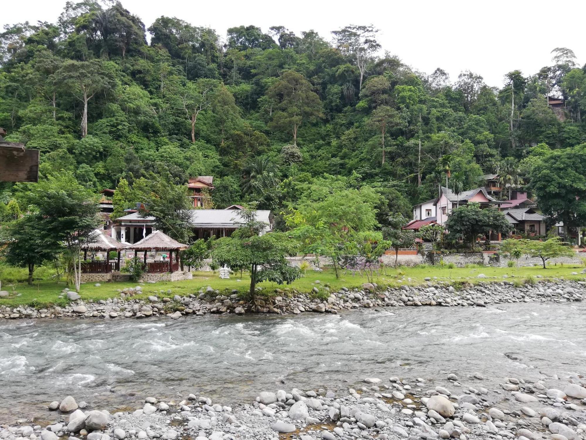 فندق Umiyuki Jungle Tour Only Treking With As بوكيت لاوانج المظهر الخارجي الصورة